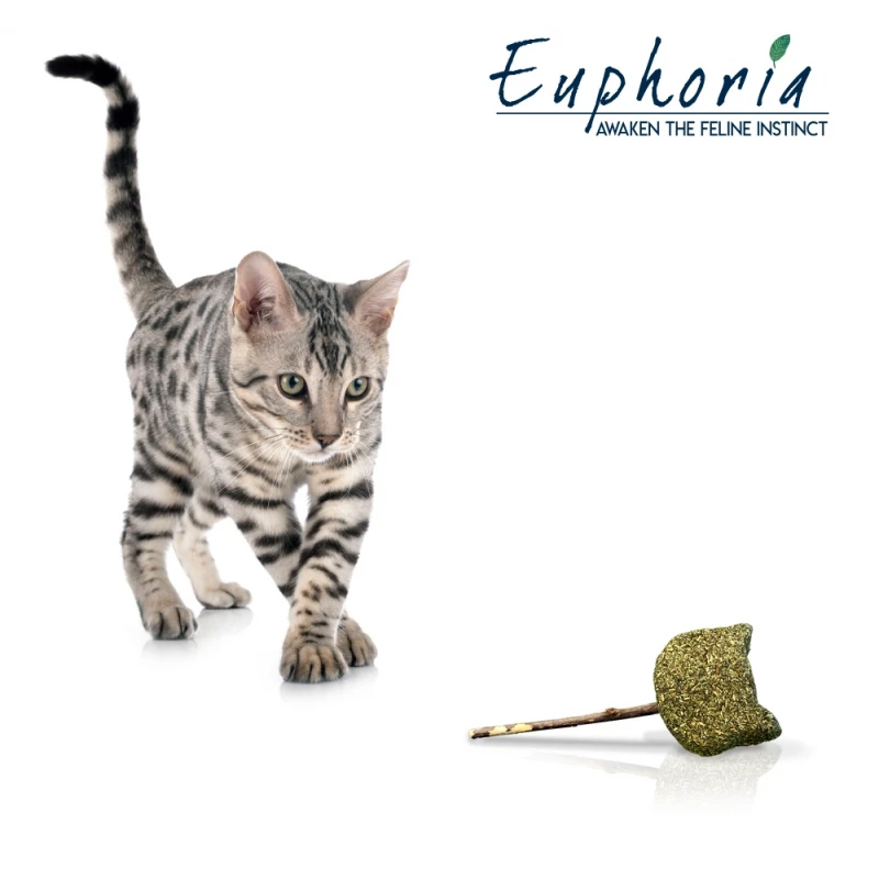 Παιχνίδι Λιχουδιά Euphoria Catface με Catnip 14cm ΠΑΙΧΝΙΔΙΑ ΓΑΤΑΣ