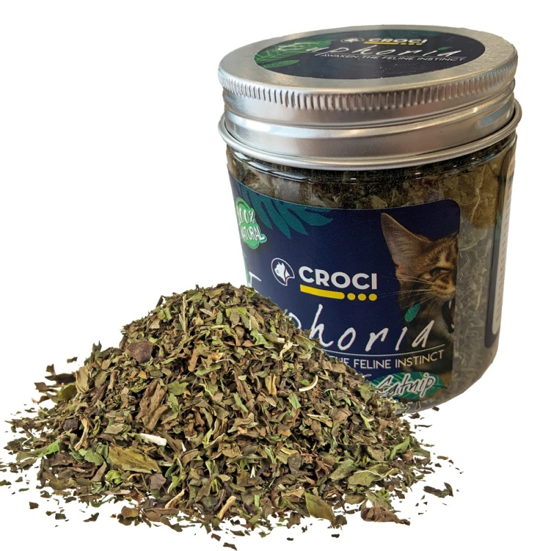 Catnip Croci Euphoria 25gr ΠΑΙΧΝΙΔΙΑ ΓΑΤΑΣ