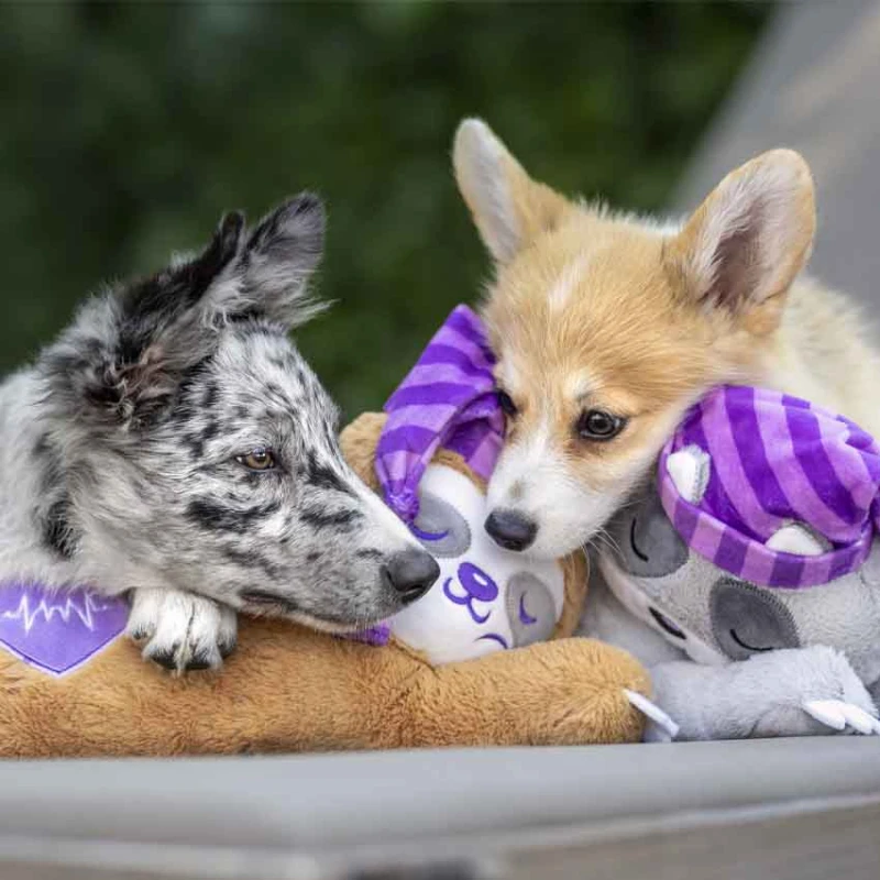 Λούτρινο Παιχνίδι Σκύλου Croci Heart Beat Racoon με Καρδιά που Χτυπά 37cm ΣΚΥΛΟΙ