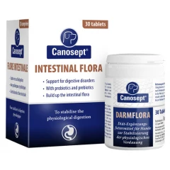 Canosept Gastrointestinal Συμπλήρωμα Σκύλου για το Πεπτικό 30tabs Canosept Gastrointestinal Συμπλήρωμα Σκύλου για το Πεπτικό 30tabs