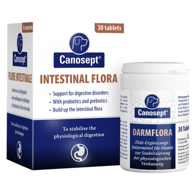 Canosept Gastrointestinal Συμπλήρωμα Σκύλου για το Πεπτικό 30tabs Σκύλοι Canosept Gastrointestinal Συμπλήρωμα Σκύλου για το Πεπτικό 30tabs Σκύλοι