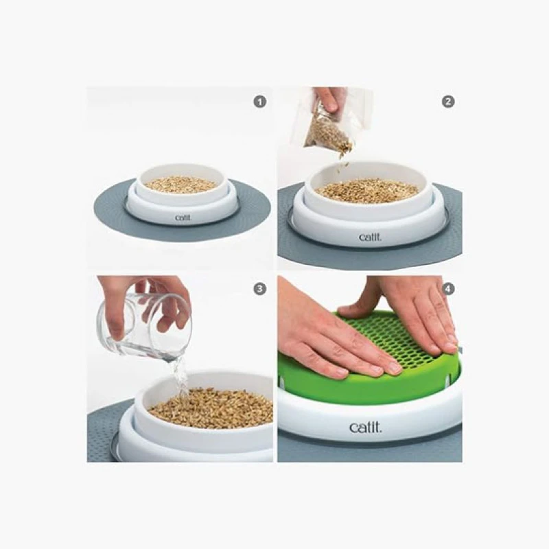 Catit Cat Grass Kit Set of 3 Σπόροι για Γρασίδι Γάτας Γάτες