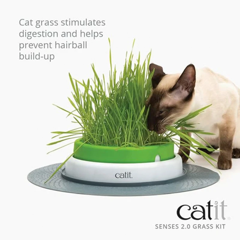 Catit Cat Grass Kit Set of 3 Σπόροι για Γρασίδι Γάτας Γάτες