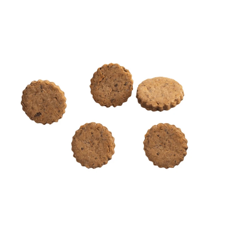Μπισκότα Σκύλου Cooka's Cookies Gourmet Burger με Χοιρινό 100gr Σκύλοι