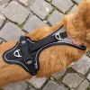Σαμαράκι Curli Magnetic Belka Comfort Harness Black Medium 48x66-70cm ΣΚΥΛΟΙ