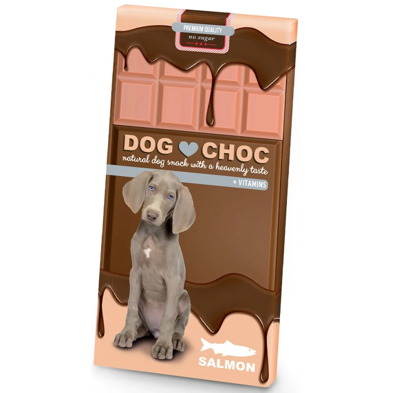 Λιχουδιά Dog Choc Σολωμός 100gr ΣΚΥΛΟΙ