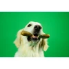 Παιχνίδι Σκύλου Dashi Taste & Fun Apple Fruity Bone Medium 5x15cm ΣΚΥΛΟΙ
