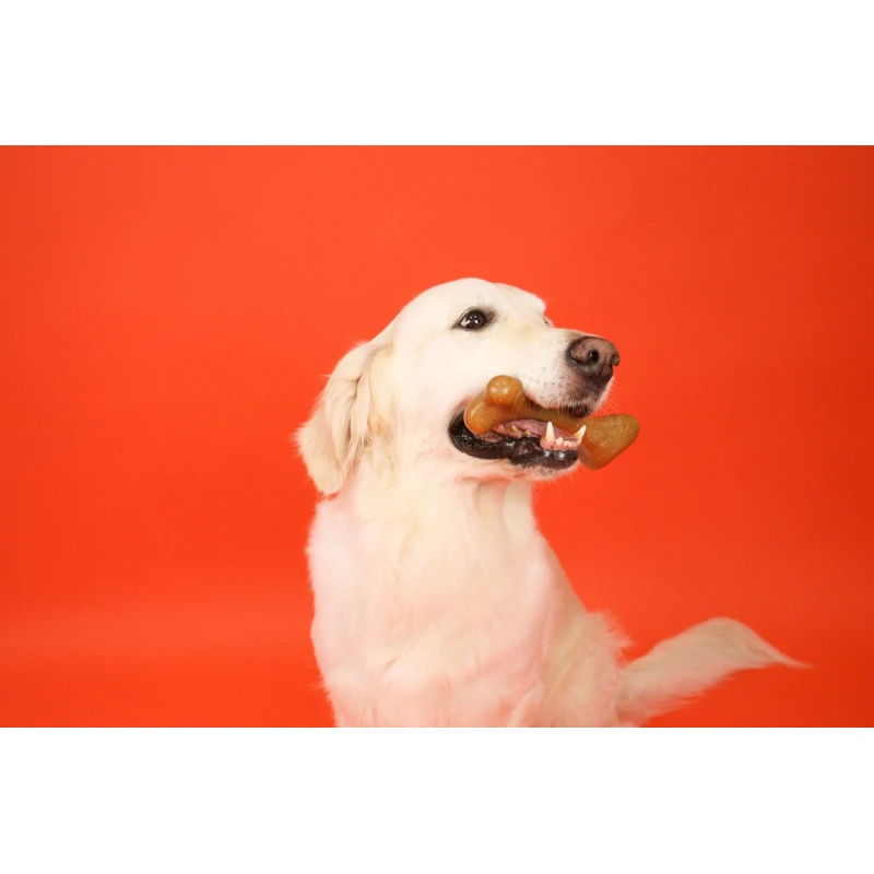 Παιχνίδι Σκύλου Dashi Taste & Fun Orange Fruity Bone Small 3,5x10,5cm ΣΚΥΛΟΙ