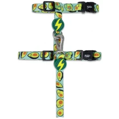 Dashi Οδηγός και Επιστήθιο Γάτας Avocado 1x26–41cm Dashi Οδηγός και Επιστήθιο Γάτας Avocado 1x26–41cm