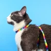 Dashi Οδηγός και Επιστήθιο Γάτας Betty You 1x26–41cm Γάτες