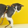 Dashi Οδηγός και Επιστήθιο Γάτας Boom Harness 1x26–41cm Γάτες