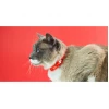 Dashi Περιλαίμιο Γάτας Colorflex 1x20–32cm Κόκκινο Γάτες