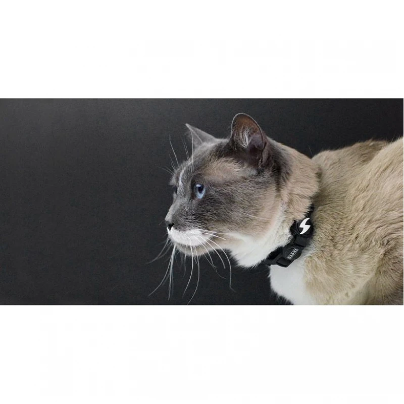 Dashi Περιλαίμιο Γάτας Colorflex 1x20–32cm Μαύρο Γάτες