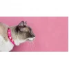 Dashi Περιλαίμιο Γάτας Colorflex 1x20–32cm Ροζ Γάτες