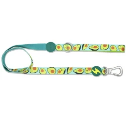 Λουρί, Οδηγός Σκύλου Dashi Avocado Leash Large 2,5x120cm