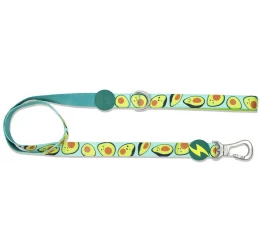 Λουρί, Οδηγός Σκύλου Dashi Avocado Leash Medium 2x120cm
