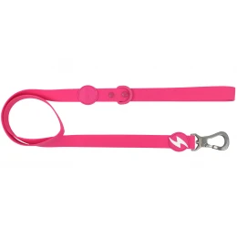 Λουρί, Οδηγός Σκύλου Dashi Colorflex Pink Leash Large 2,5x120cm