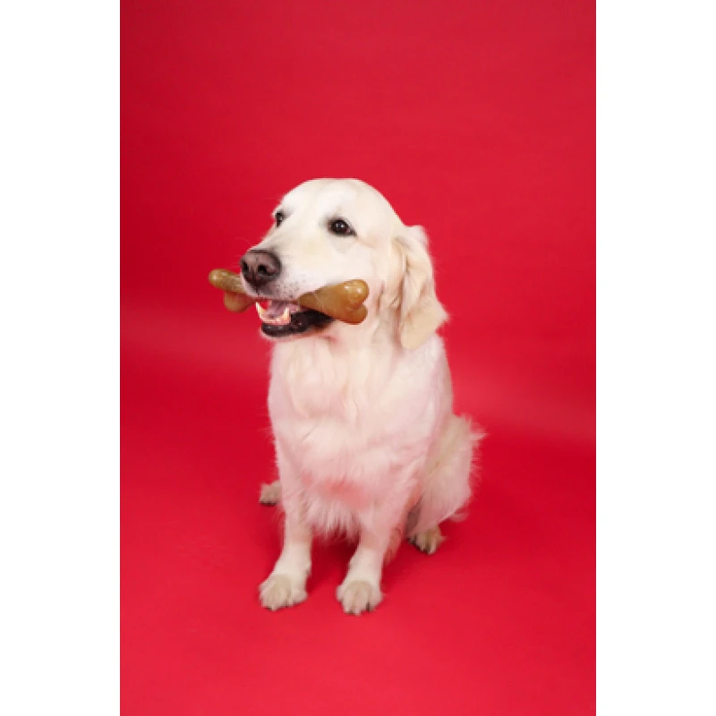 Παιχνίδι Σκύλου Dashi Taste & Fun Strawberry Fruity Bone Small 3,5x10,5cm Σκύλοι