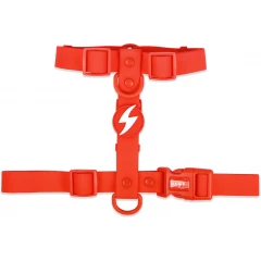 Σαμαράκι Σκύλου Dashi Colorflex Red Back Harness Large 2,5x62-107cm Σαμαράκι Σκύλου Dashi Colorflex Red Back Harness Large 2,5x62-107cm