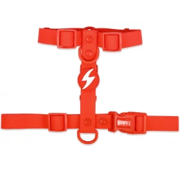 Σαμαράκι Σκύλου Dashi Colorflex Red Back Harness Large 2,5x62-107cm Σαμαράκι Σκύλου Dashi Colorflex Red Back Harness Large 2,5x62-107cm
