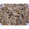 Deli Nature Birdelicious Large Parakeets Serengeti 800gr Πουλιά