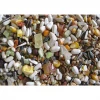 Deli Nature Premium Τροφή για Παπαγάλους 800gr Πουλιά Deli Nature Premium Τροφή για Παπαγάλους 800gr Πουλιά
