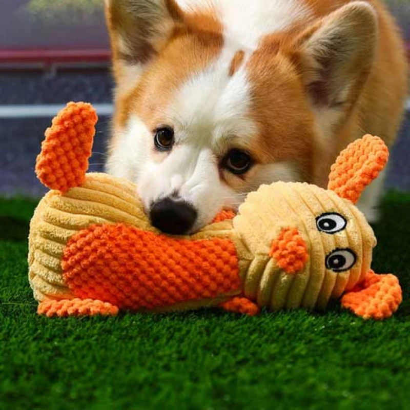 Παιχνίδι Σκύλου Με Ήχο Denik Pets Αρκουδάκι 24cm Σκύλοι Παιχνίδι Σκύλου Με Ήχο Denik Pets Αρκουδάκι 24cm Σκύλοι