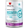 Κλινική Κονσέρβα Σκύλου Disugual Diet Dog - Recovery Duck με Πάπια 400gr ΣΚΥΛΟΙ