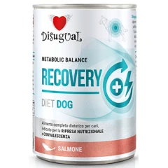 Κλινική Κονσέρβα Σκύλου Disugual Diet Dog - Recovery Salmon με Σολομό 400gr Κλινική Κονσέρβα Σκύλου Disugual Diet Dog - Recovery Salmon με Σολομό 400gr