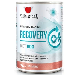 Κλινική Κονσέρβα Σκύλου Disugual Diet Dog - Recovery Salmon με Σολομό 400gr Κλινική Κονσέρβα Σκύλου Disugual Diet Dog - Recovery Salmon με Σολομό 400gr