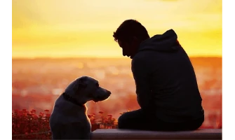 Σκύλος και Μύθοι