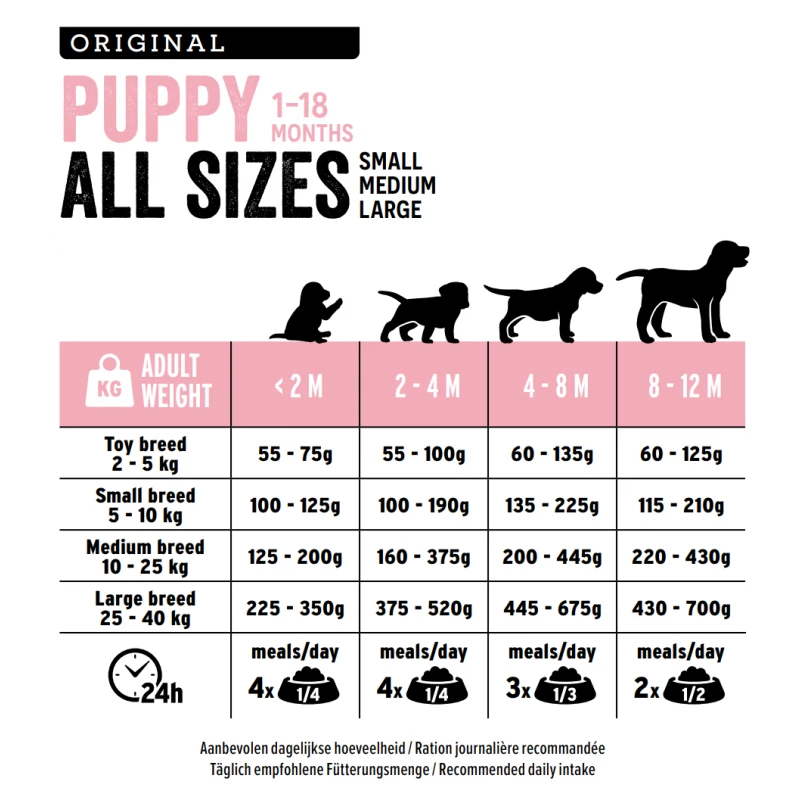 Europremium All Sizes Puppy Lamb & Rice 3kg ΣΚΥΛΟΙ Europremium All Sizes Puppy Lamb & Rice 3kg ΣΚΥΛΟΙ