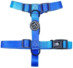 Σαμαράκι Everking Neon 393102 Medium 2x46-65cm Σαμαράκι Everking Neon 393102 Medium 2x46-65cm