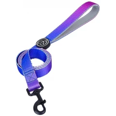 Λουρί - Οδηγός Everking Neon 393065 Small 1,5x150cm Λουρί - Οδηγός Everking Neon 393065 Small 1,5x150cm