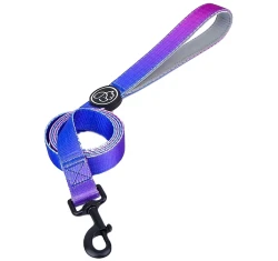 Λουρί - Οδηγός Everking Neon 393065 Small 1,5x150cm Λουρί - Οδηγός Everking Neon 393065 Small 1,5x150cm