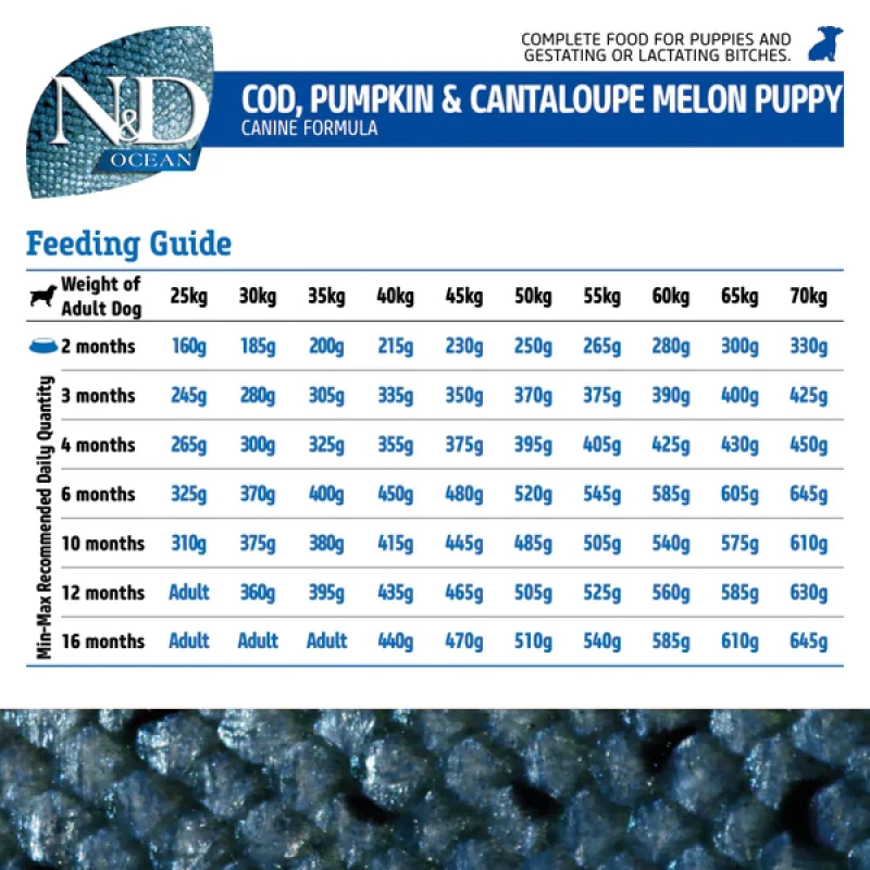 N&D Ocean Codfish Pumpkin & Cantaloupe Melon Puppy Medium & Maxi 12kg ΣΚΥΛΟΙ