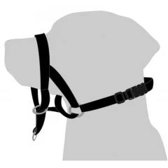 Εκπαιδευτικό Λουρί Περιστόμιο Flamingo Easy Leader Black Large Ø 40 X 50-65cm Εκπαιδευτικό Λουρί Περιστόμιο Flamingo Easy Leader Black Large Ø 40 X 50-65cm