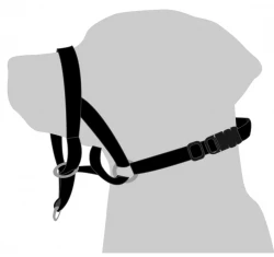 Εκπαιδευτικό Λουρί Περιστόμιο Flamingo Easy Leader Black Large Ø 40 X 50-65cm Εκπαιδευτικό Λουρί Περιστόμιο Flamingo Easy Leader Black Large Ø 40 X 50-65cm