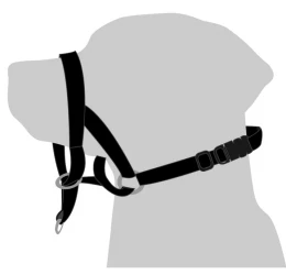 Εκπαιδευτικό Λουρί Περιστόμιο Flamingo Easy Leader Black Large Ø 40 X 50-65cm Εκπαιδευτικό Λουρί Περιστόμιο Flamingo Easy Leader Black Large Ø 40 X 50-65cm