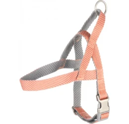 Flamingo Νορβηγικό Σαμαράκι - Επιστήθιο Noors Elly XS 15mm x 35-45cm Σομόν Flamingo Νορβηγικό Σαμαράκι - Επιστήθιο Noors Elly XS 15mm x 35-45cm Σομόν