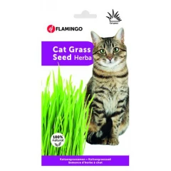 Γρασίδι Γάτας Flamingo Pets  Γρασίδι Γάτας Flamingo Pets