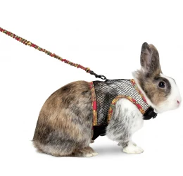 Οδηγός Και Επιστήθιο για Κουνέλια Flamingo Art Joy Comfort