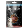 Λιχουδιές Γάτας Wellfed Freeze Dried με Πάπια 24gr ΛΙΧΟΥΔΙΕΣ ΓΑΤΑΣ