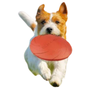 FRISBEE