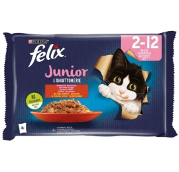 Felix Junior AGAIL Πολυσυσκευασία 4x85gr με Βοδινό και Κοτόπουλο Felix Junior AGAIL Πολυσυσκευασία 4x85gr με Βοδινό και Κοτόπουλο