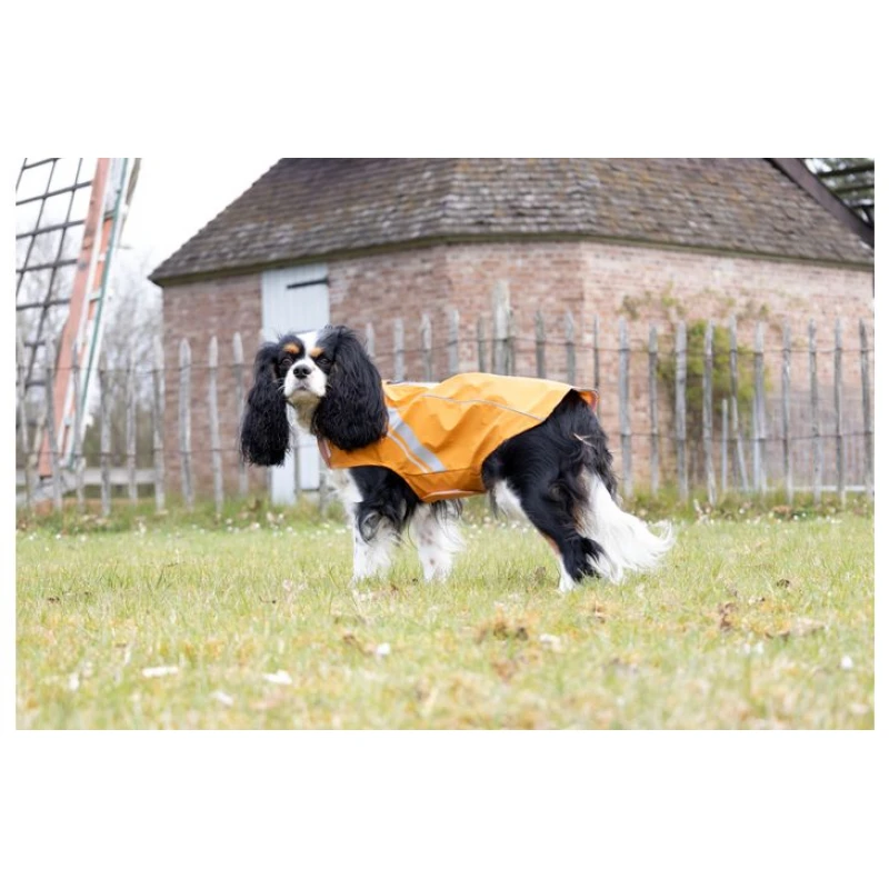 Αδιάβροχο Μπουφάν Σκύλου Flamingo Pomi 45cm Πορτοκαλί Σκύλοι Αδιάβροχο Μπουφάν Σκύλου Flamingo Pomi 45cm Πορτοκαλί Σκύλοι