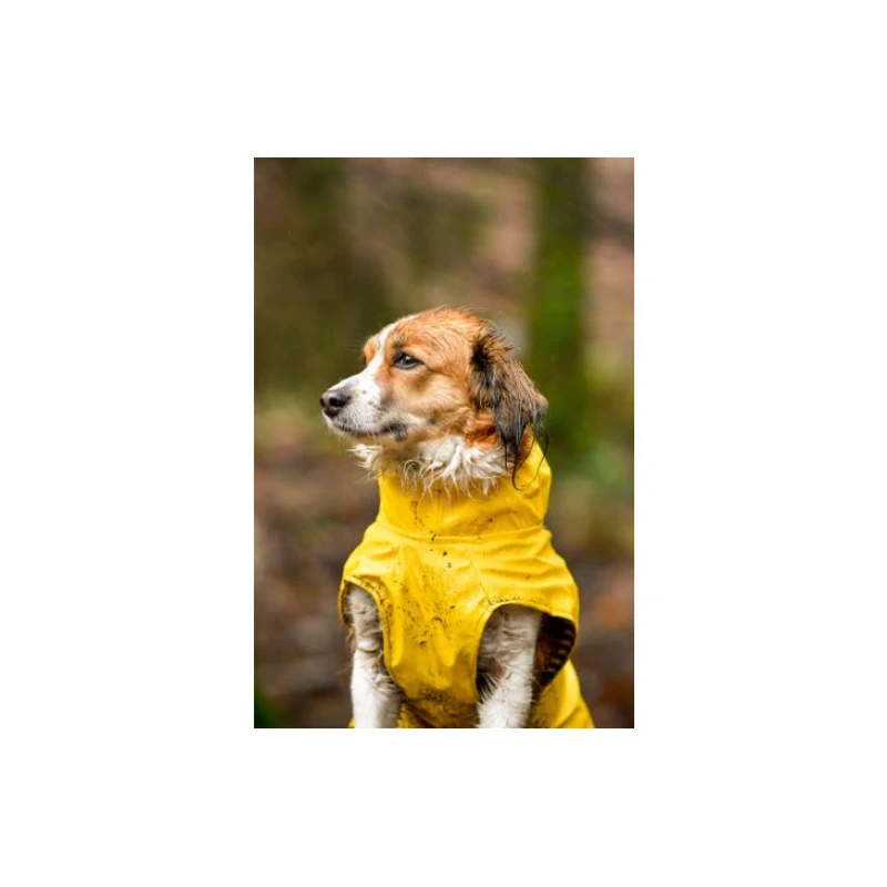 Αδιάβροχο Μπουφάν Σκύλου Flamingo Raincoat Ciro 40cm Κίτρινο Σκύλοι