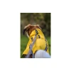 Αδιάβροχο Μπουφάν Σκύλου Flamingo Raincoat Ciro 40cm Κίτρινο Σκύλοι