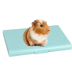 Δροσιστική Επιφάνεια Flamingo Cooling Bed για Τρωκτικά 13,8x10,2x1,6cm Δροσιστική Επιφάνεια Flamingo Cooling Bed για Τρωκτικά 13,8x10,2x1,6cm