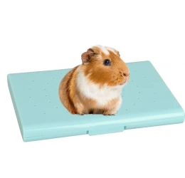 Δροσιστική Επιφάνεια Flamingo Cooling Bed για Τρωκτικά 13,8x10,2x1,6cm Δροσιστική Επιφάνεια Flamingo Cooling Bed για Τρωκτικά 13,8x10,2x1,6cm